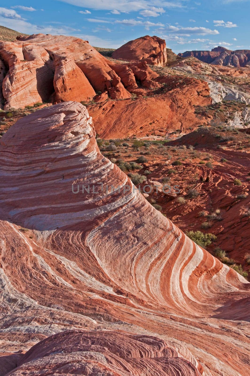 Fire Wave in the Valley of Fire