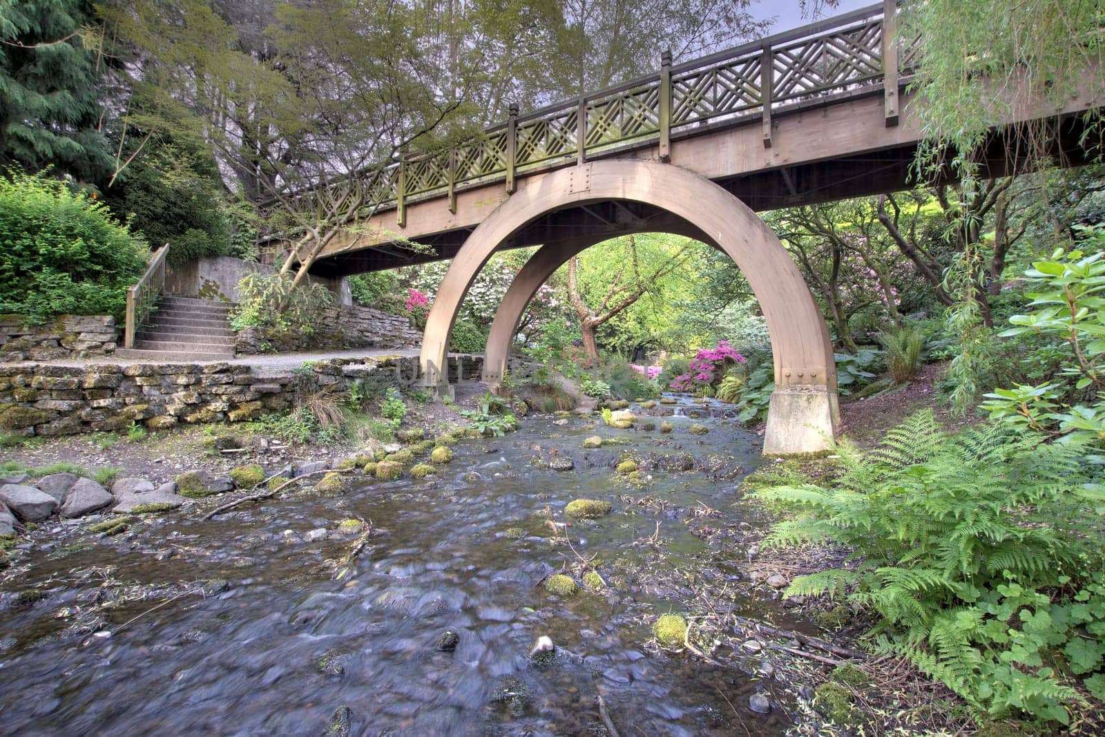 Steps to the the Wooden Bridge Arches at Crystal Springs Rhododendron Garden