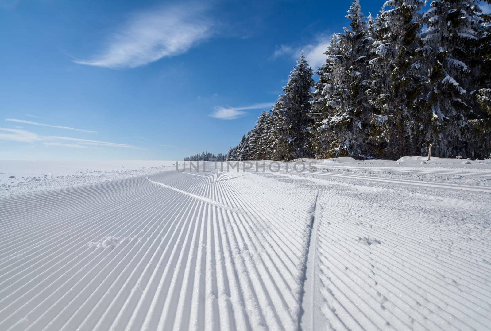 in winter