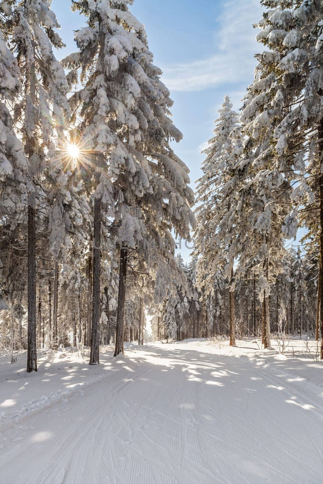in winter