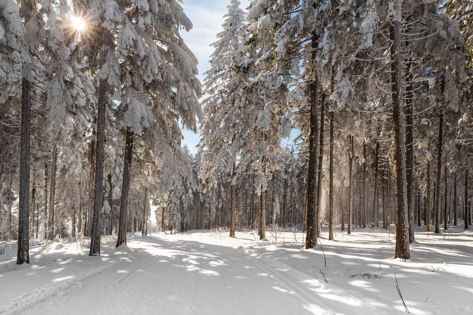 in winter