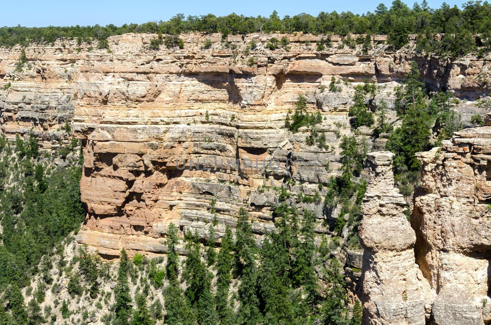 overview in the Grand Canyon in Arizona in the United States of America