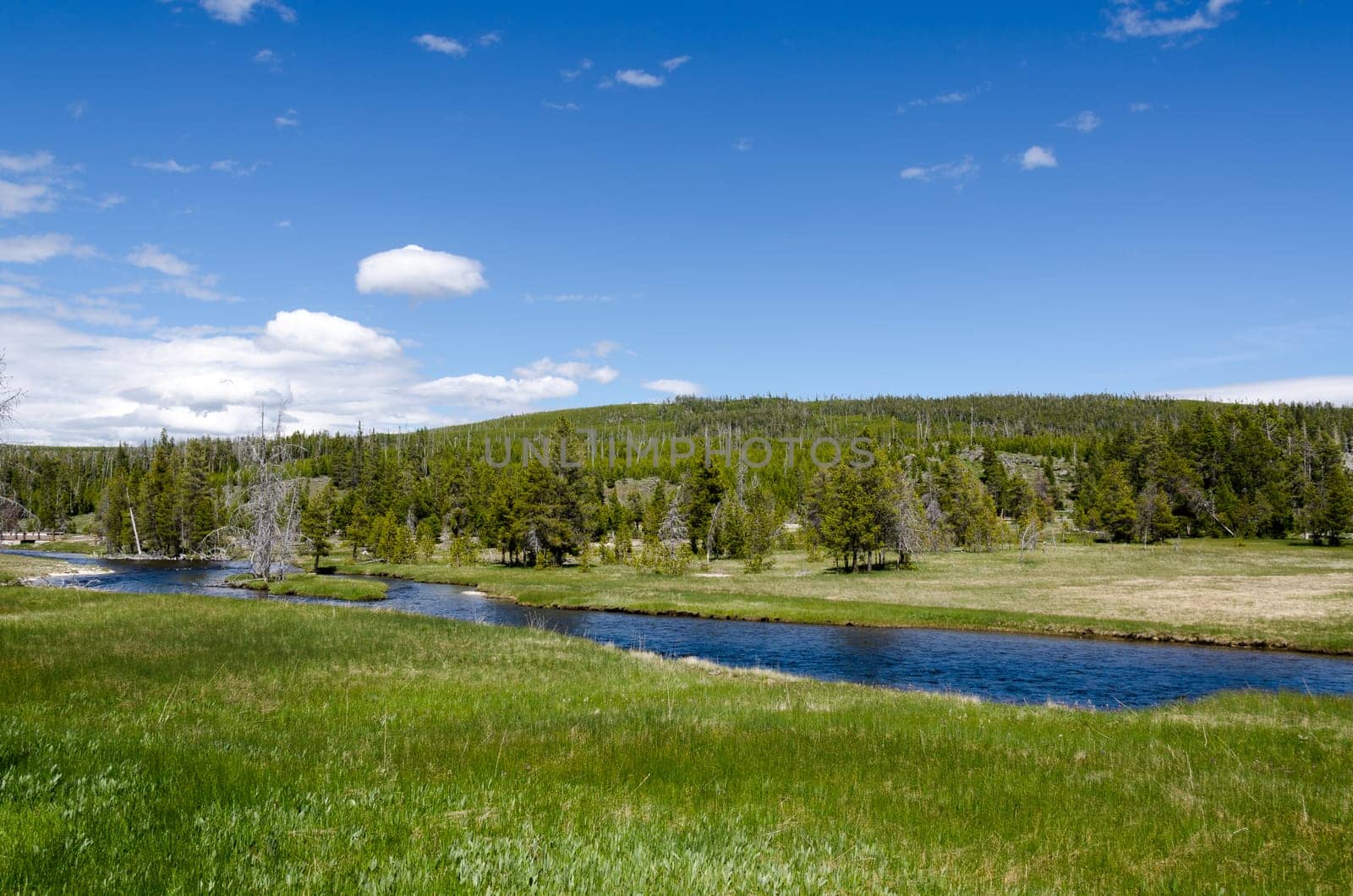 Yellowstone River in Yellowstone National Park in Wyoming