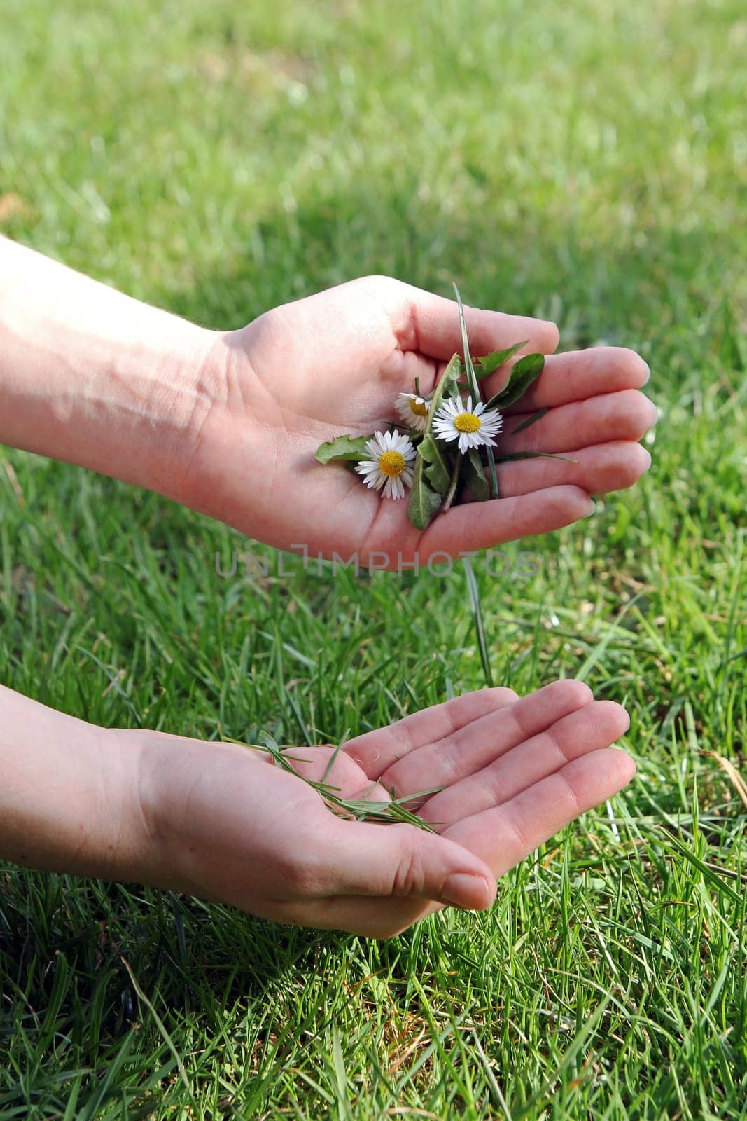 Give the gift of spring