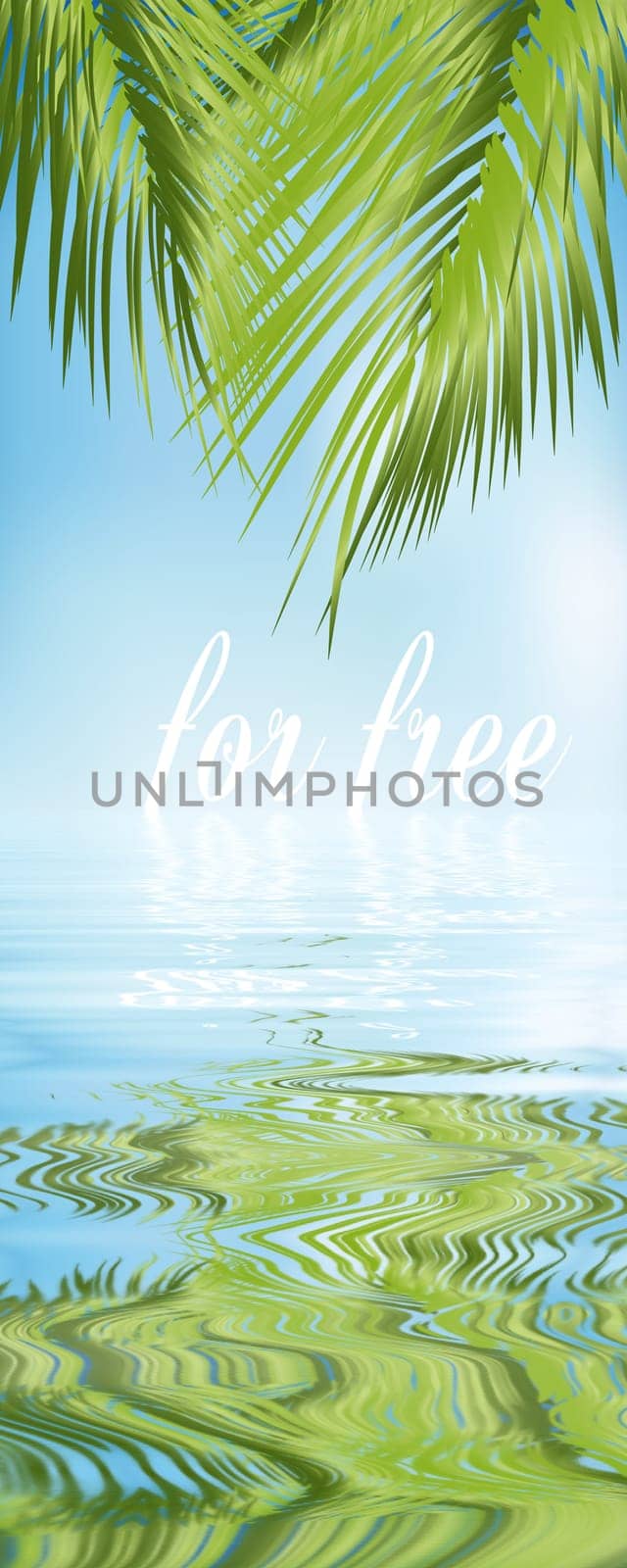 Caribbean