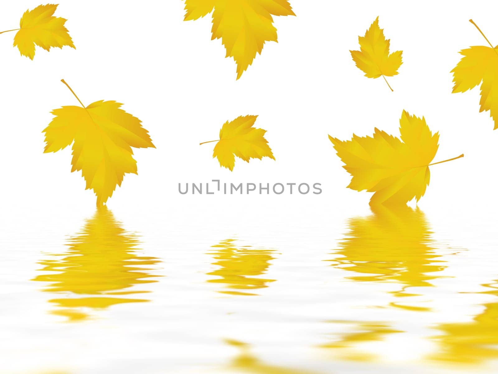 Leaf