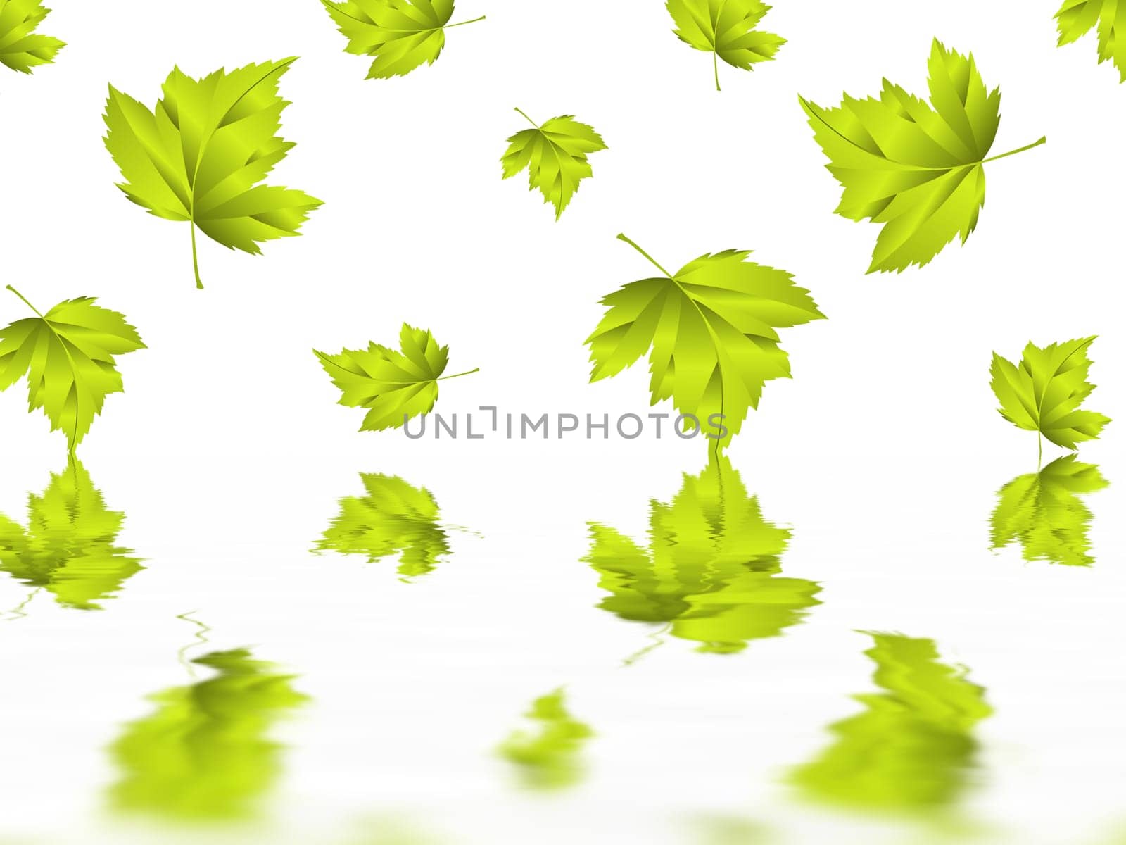 Leaf