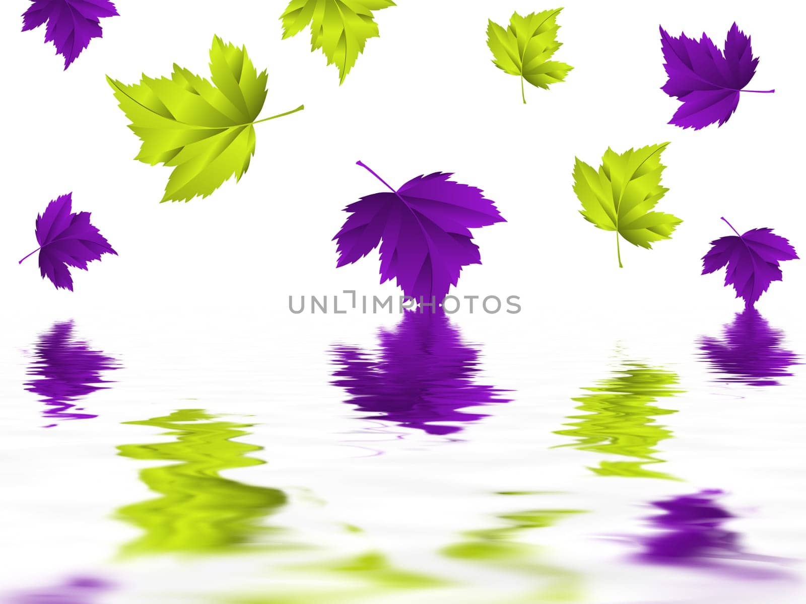 Leaf