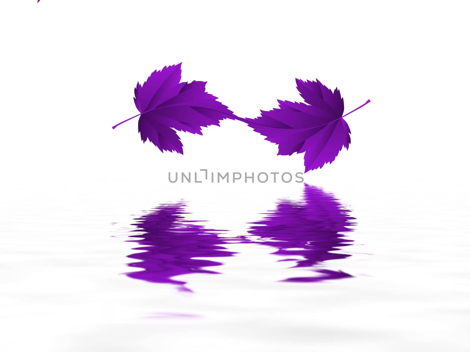Leaf