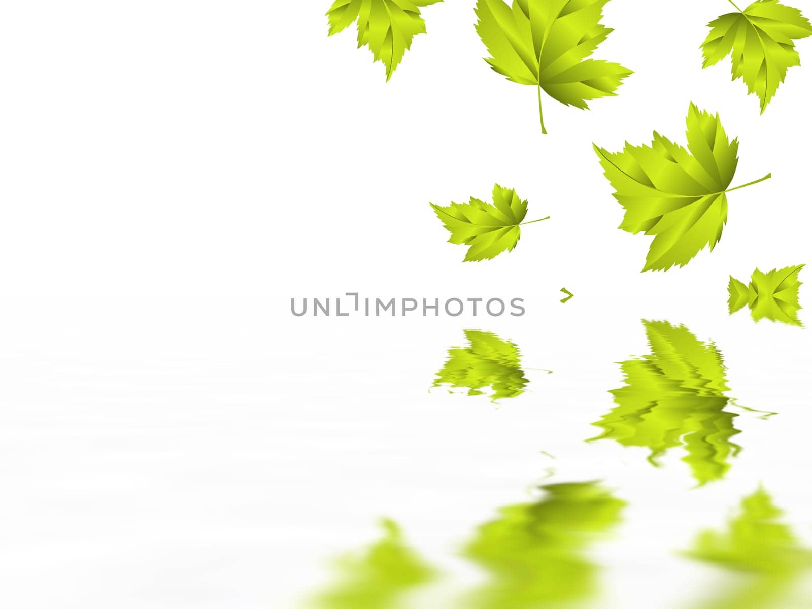 Leaf