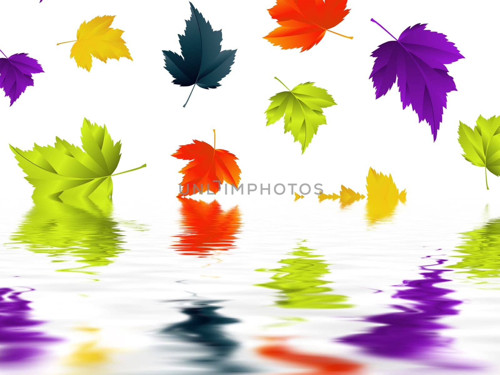 Leaf