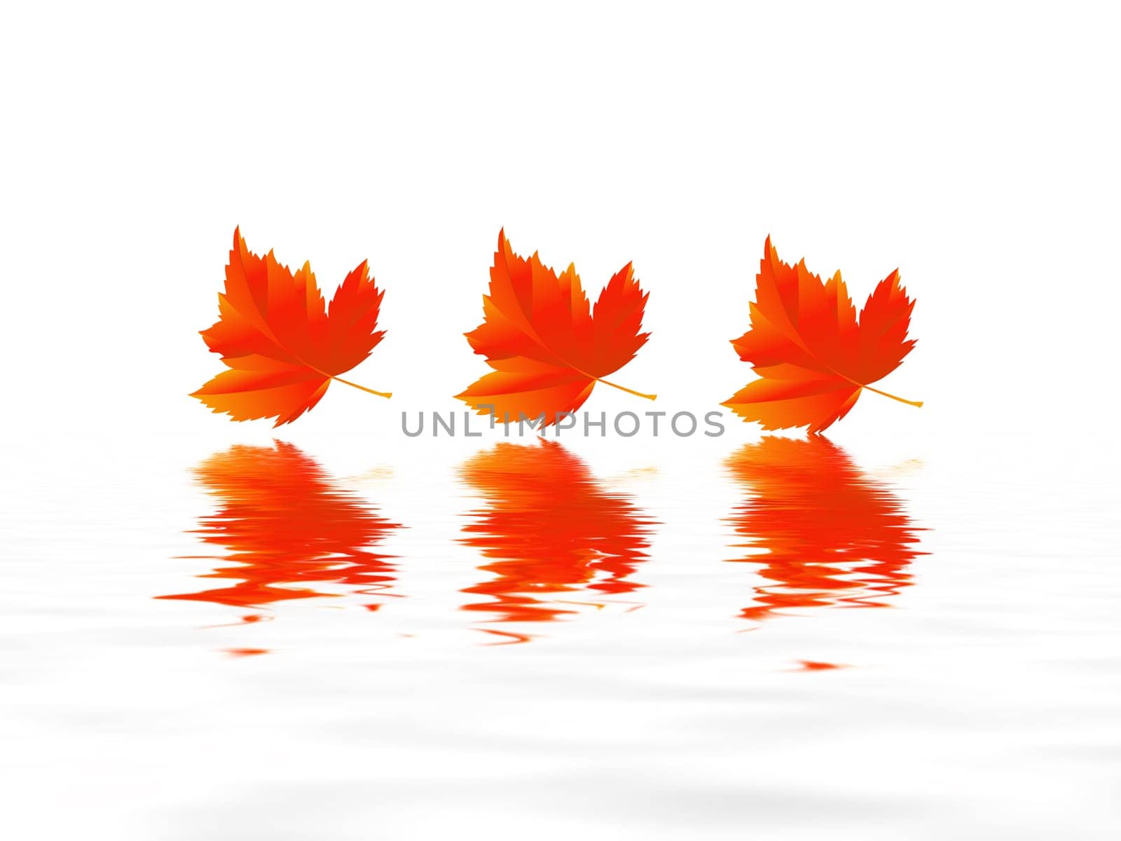 Leaf