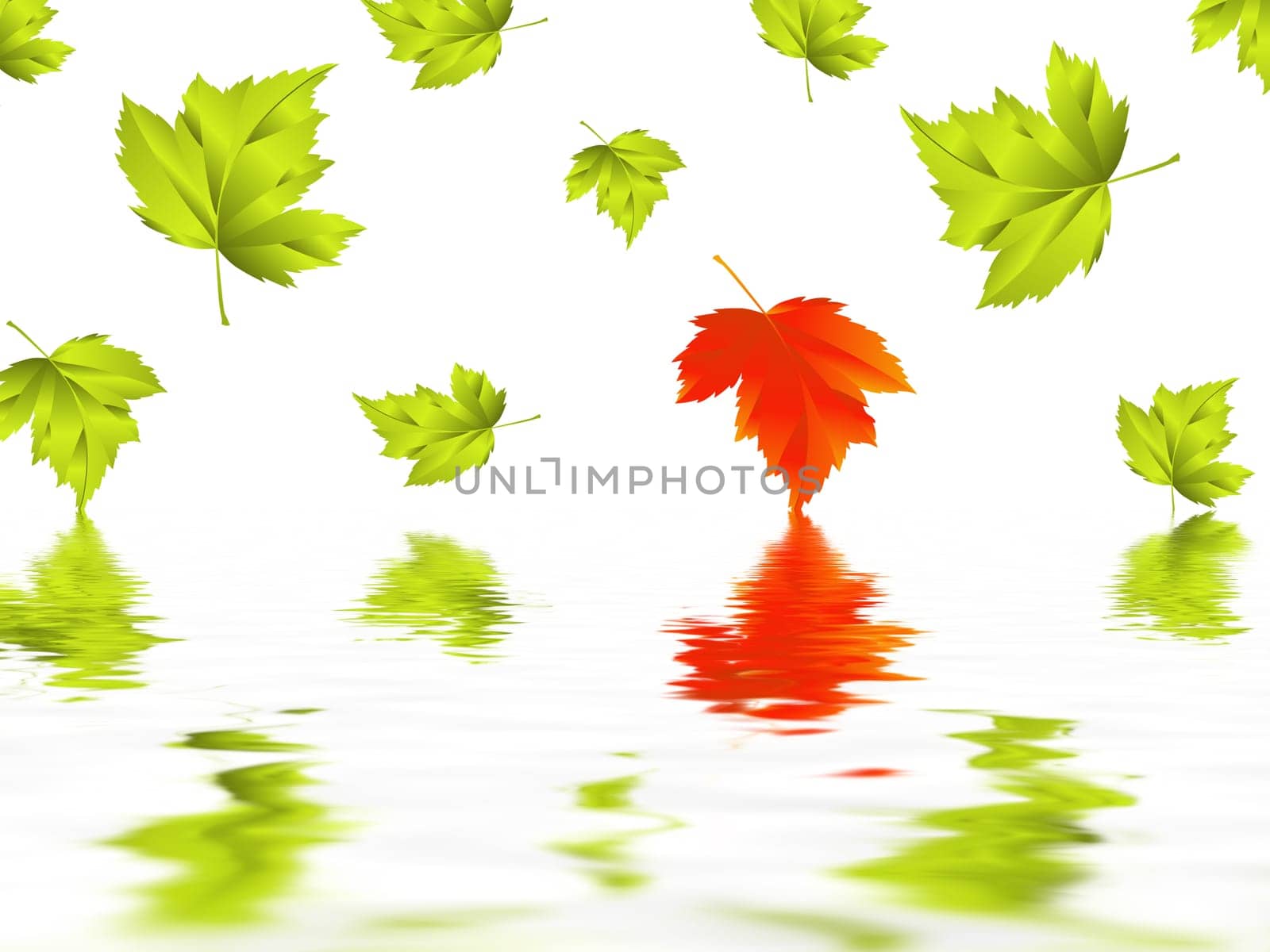 Leaf