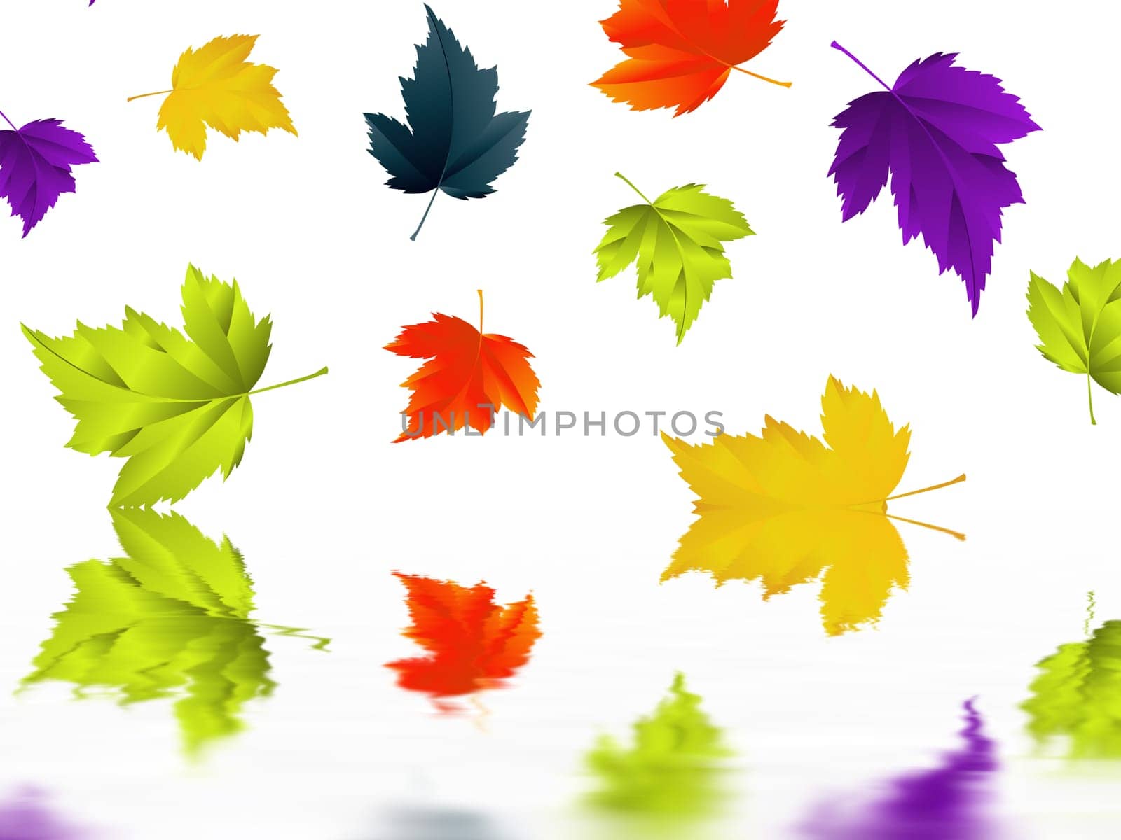 Leaf