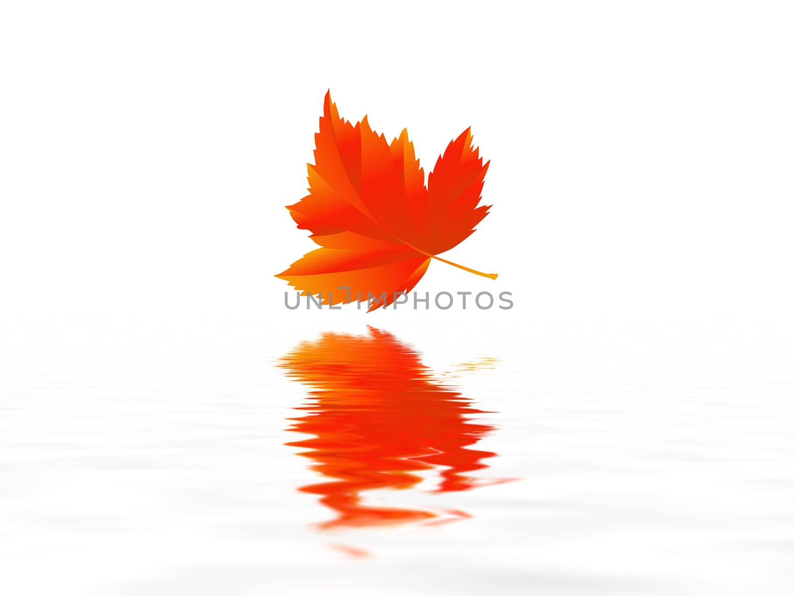 Leaf