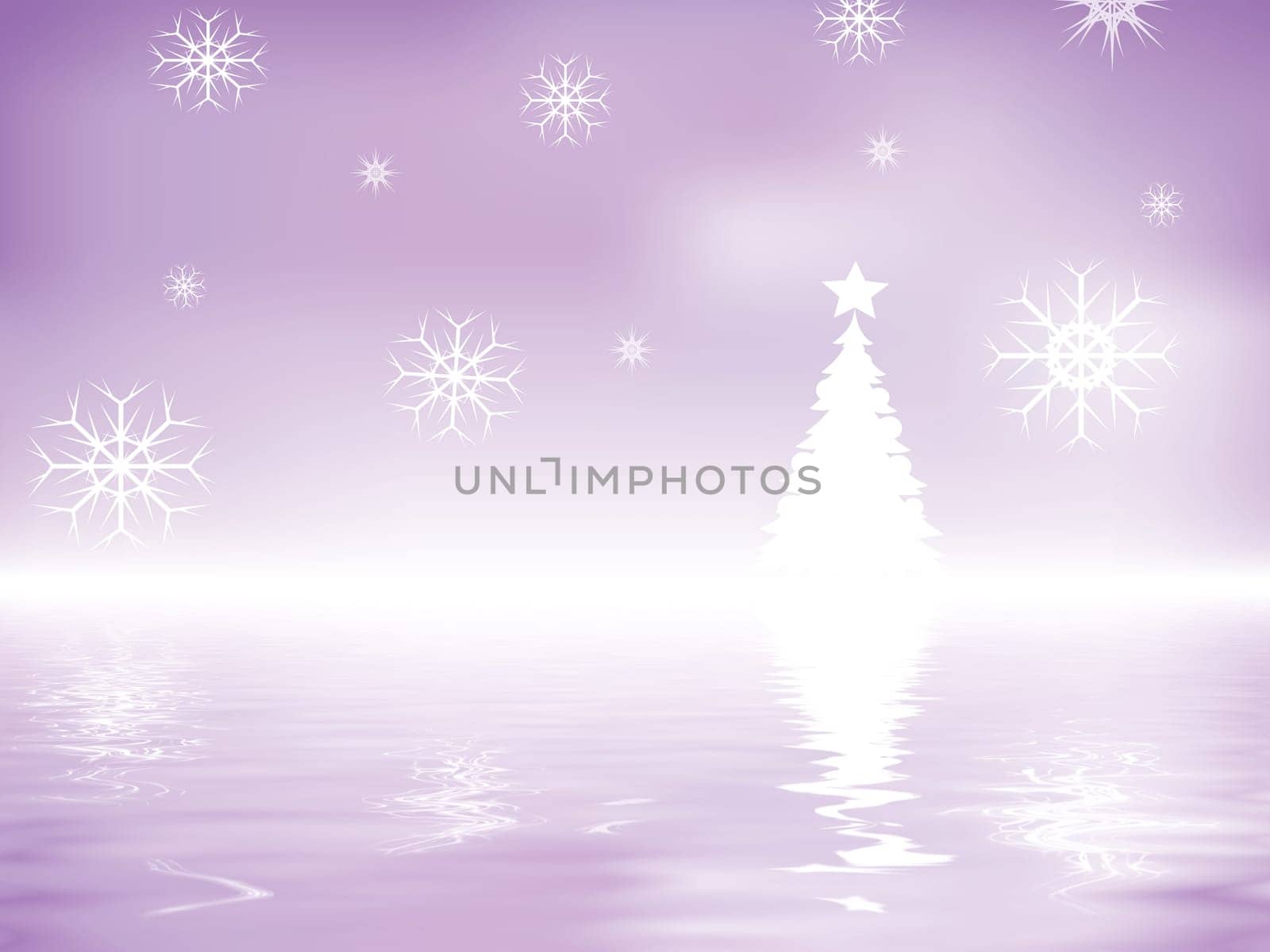 Fir tree