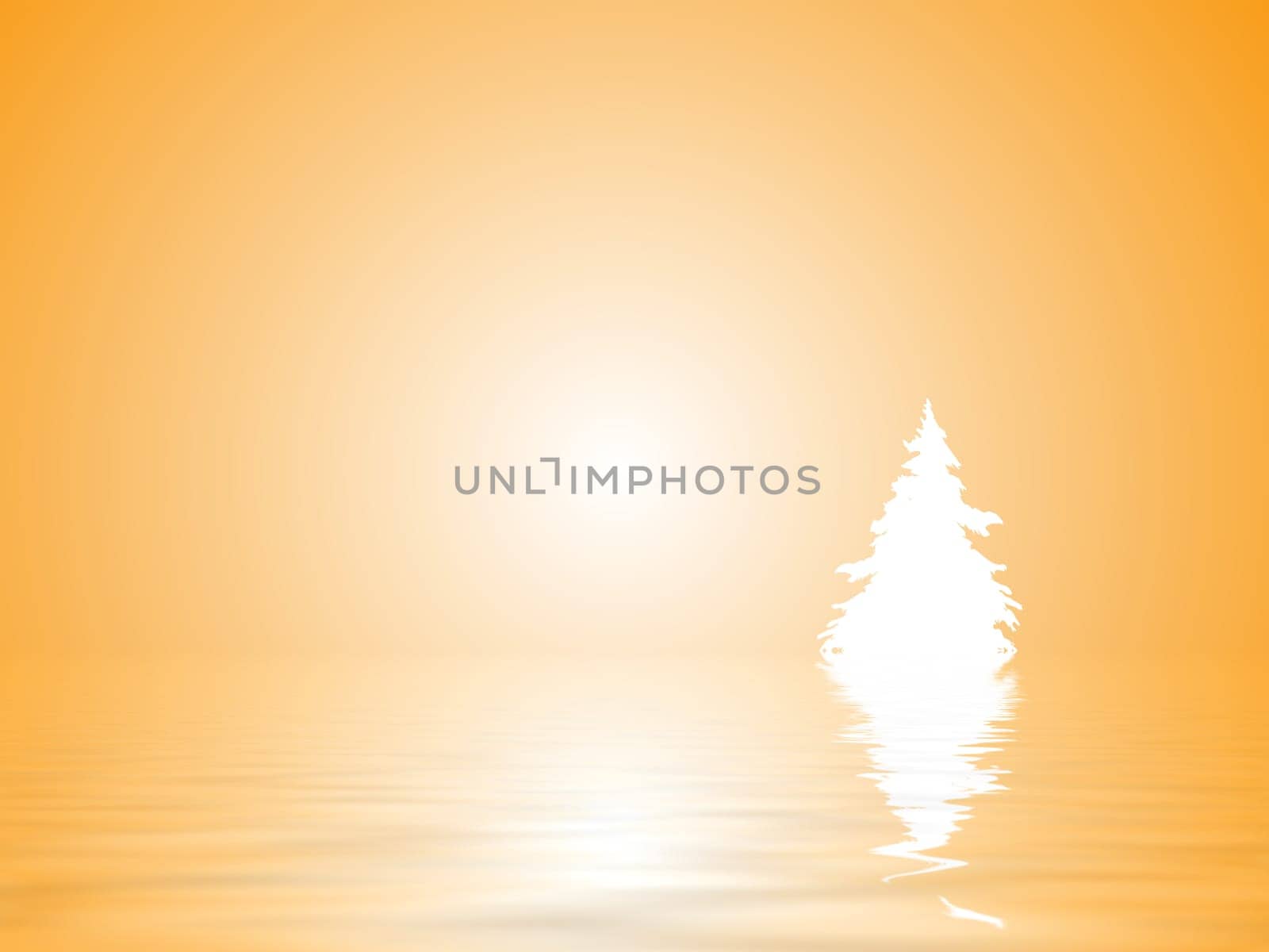 Fir tree