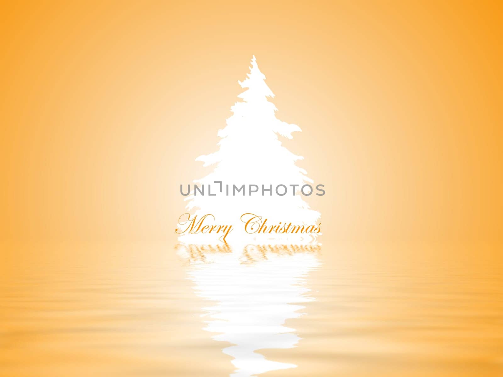Fir tree
