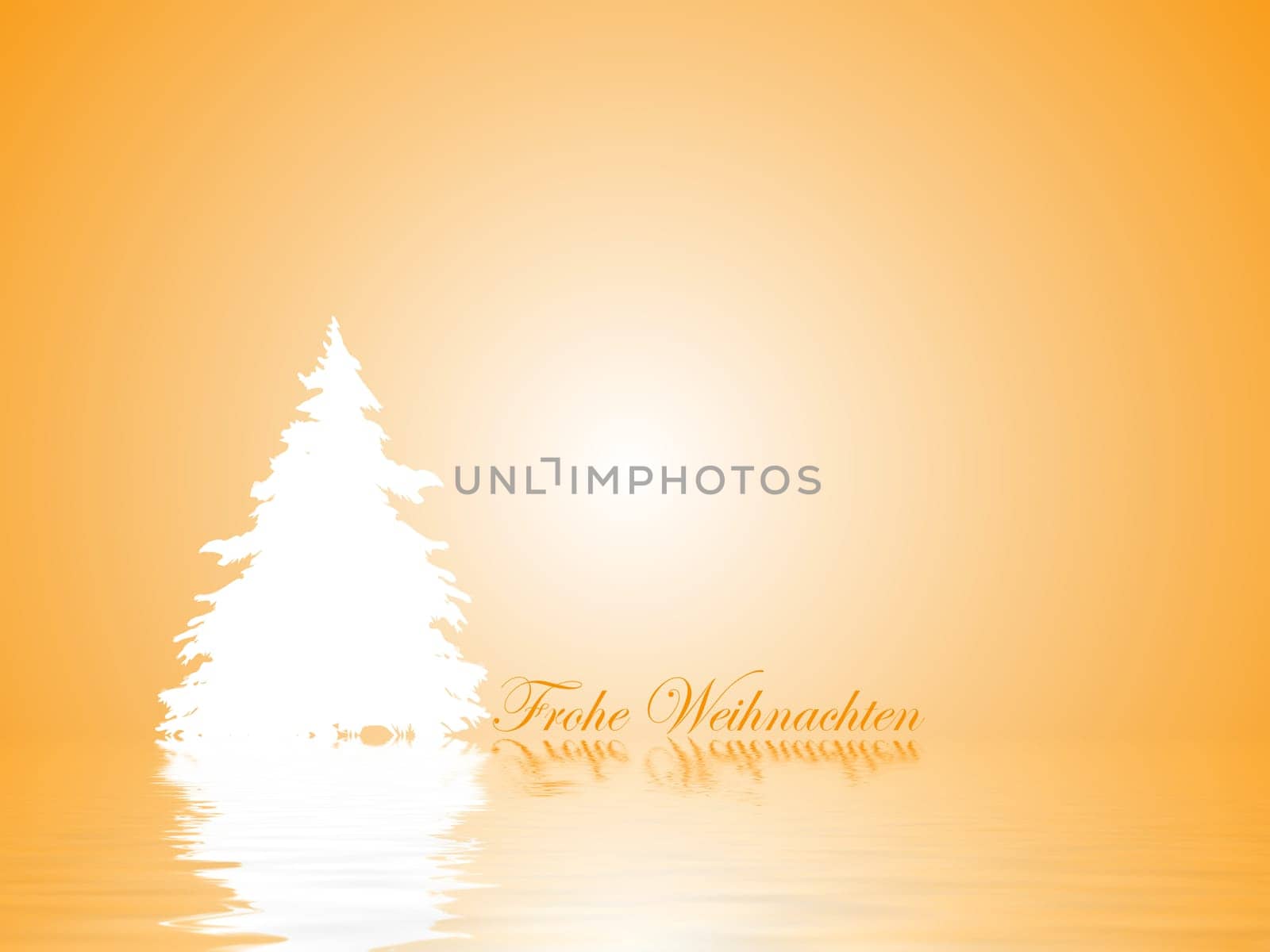 Fir tree