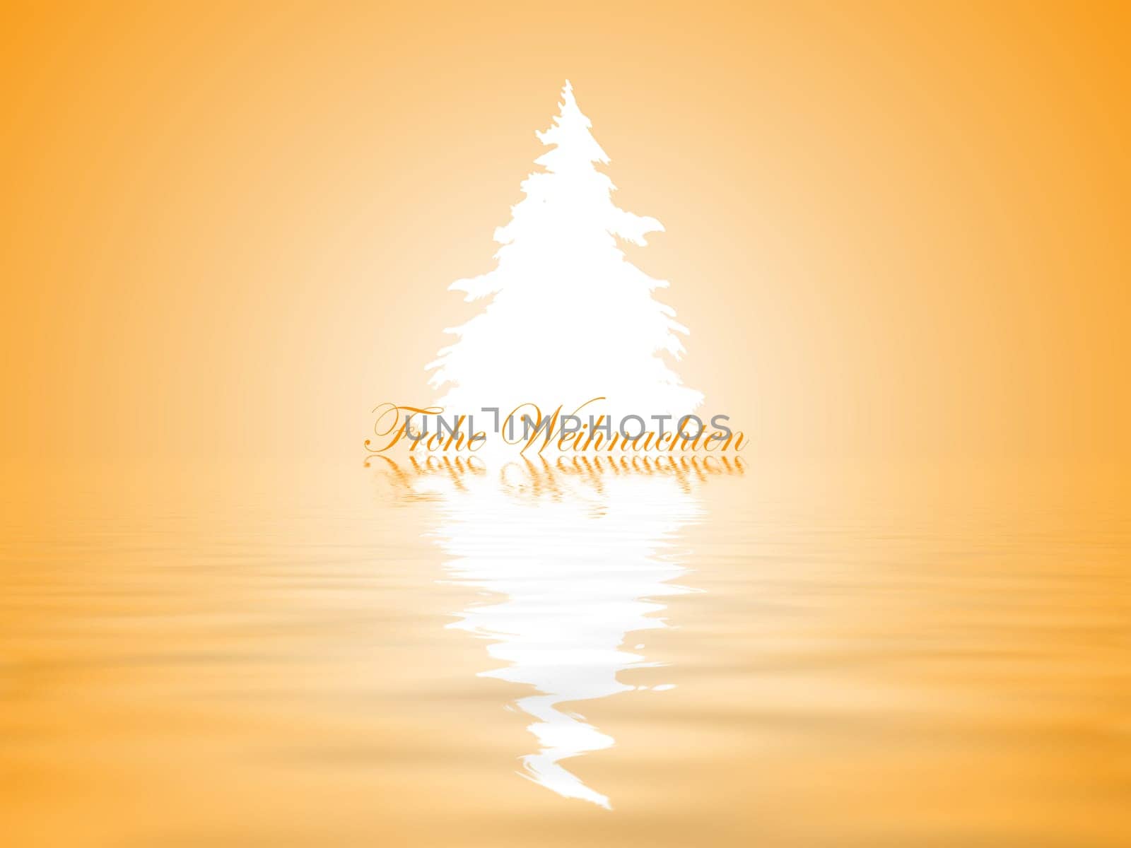 Fir tree