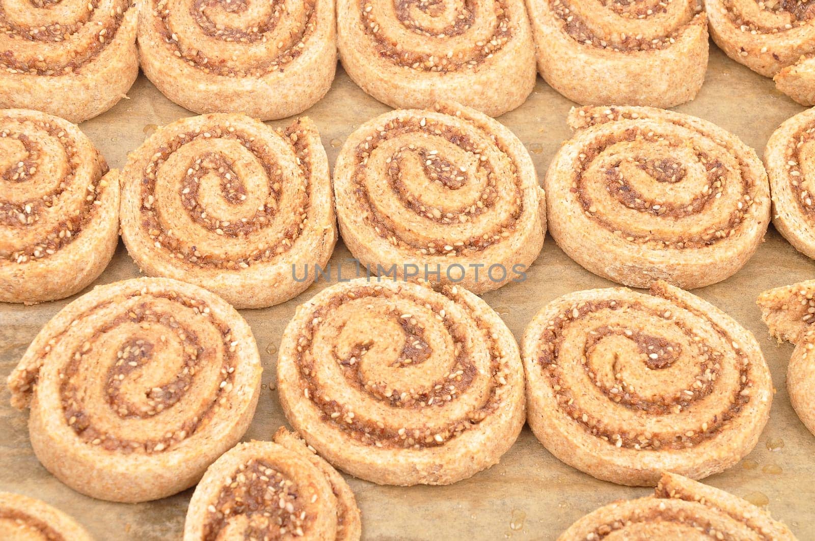 Hazelnut snails