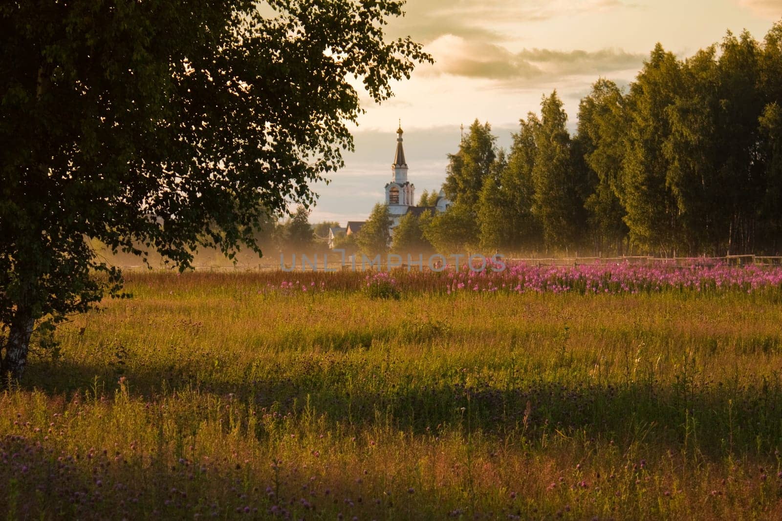 rural summer landscape with field of flowers in foreground and church in forest