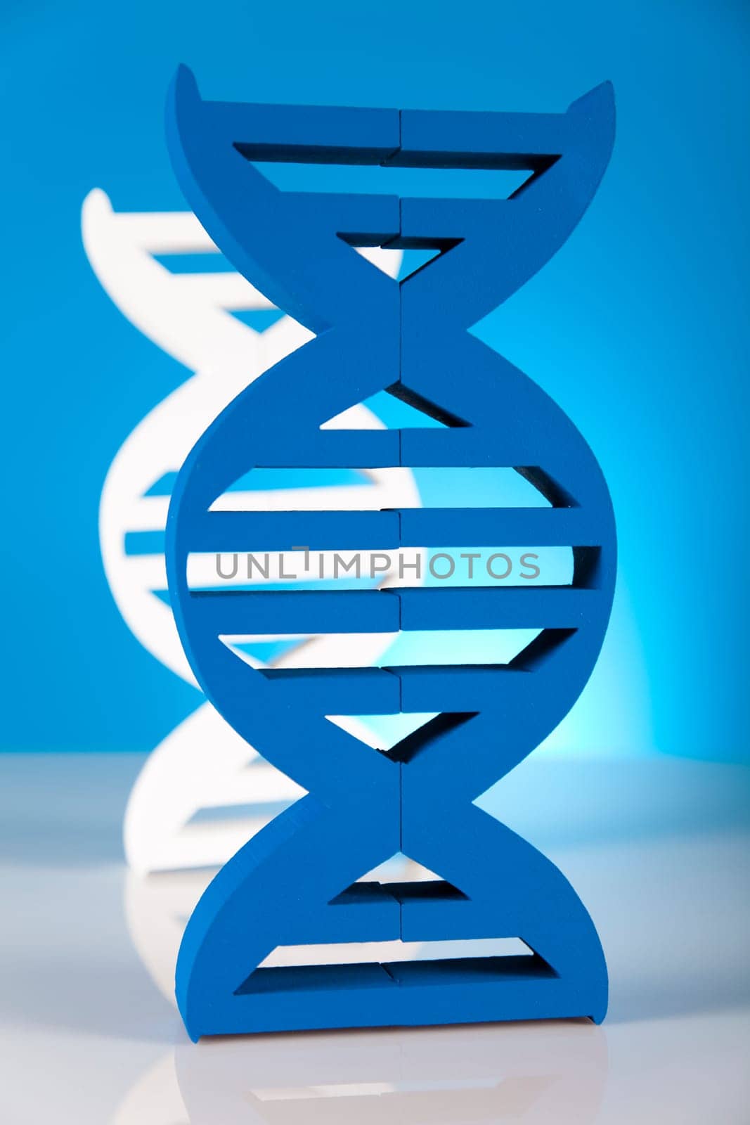 DNA molecules, Laboratory