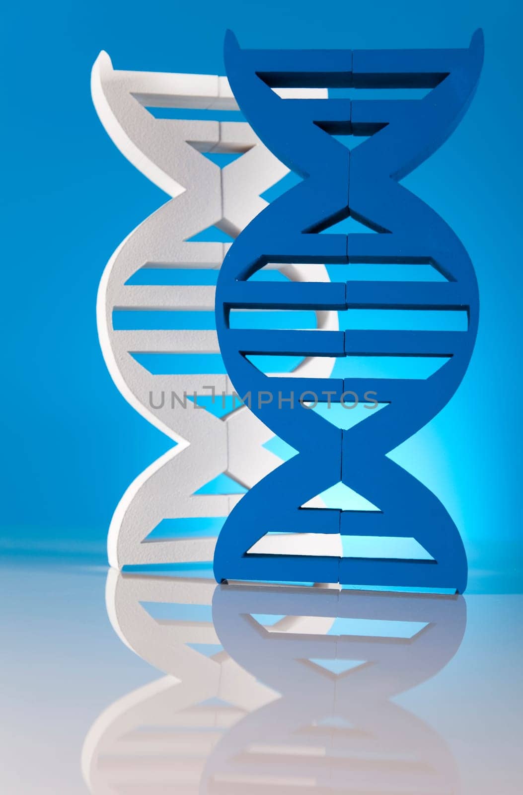 DNA molecules