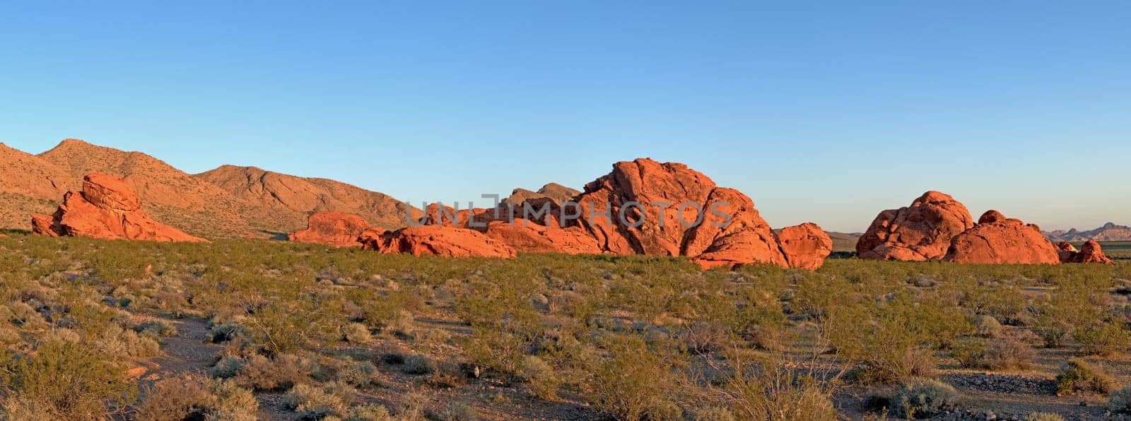 Valley of Fire in the morning light
