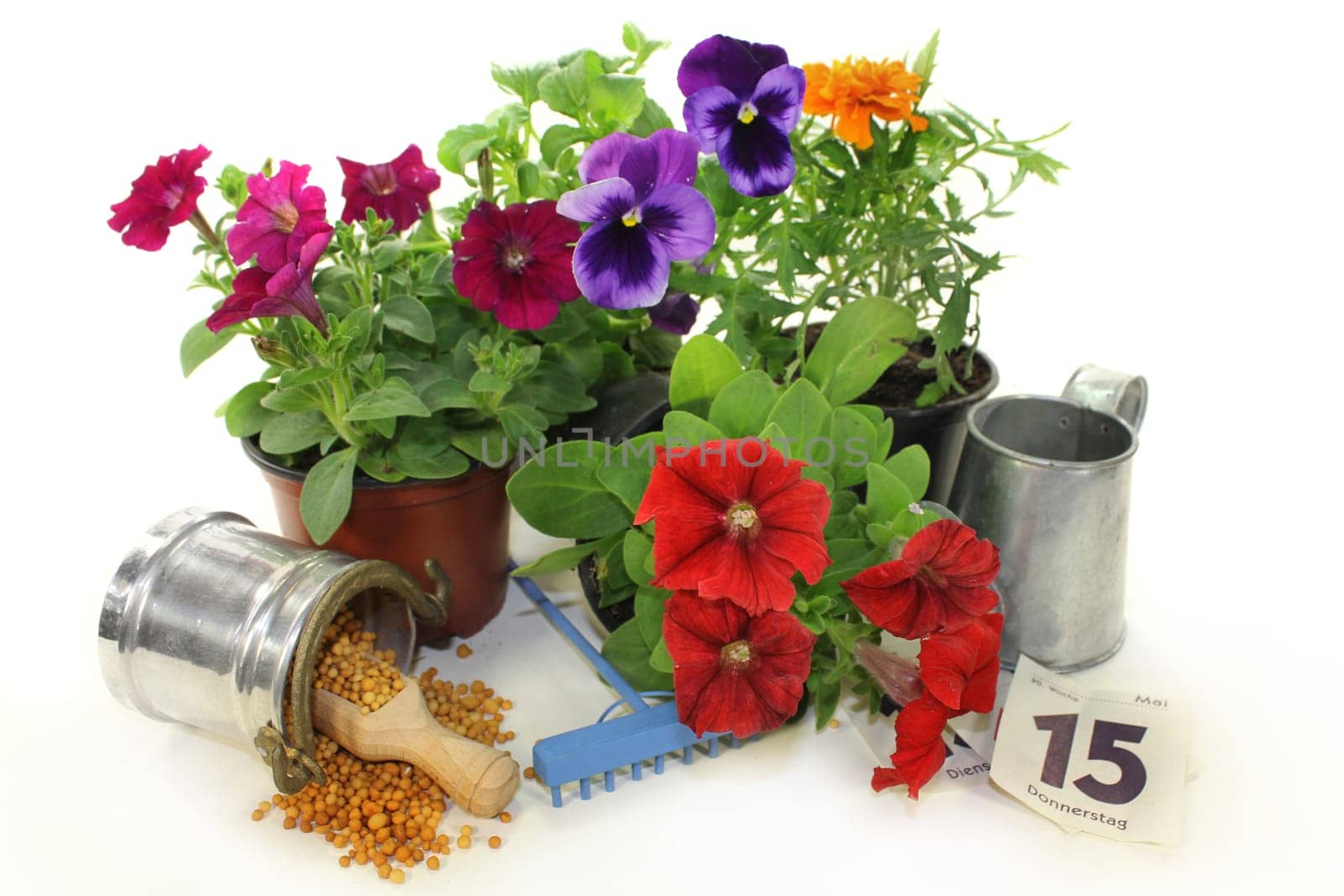 a shovel of slow-release fertilizer against a white background