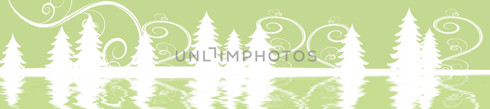 Fir tree