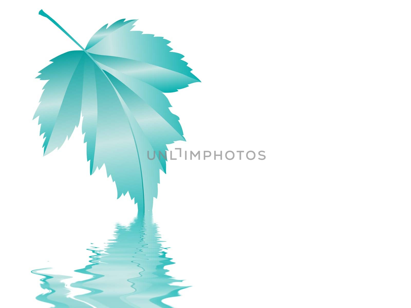 Leaf