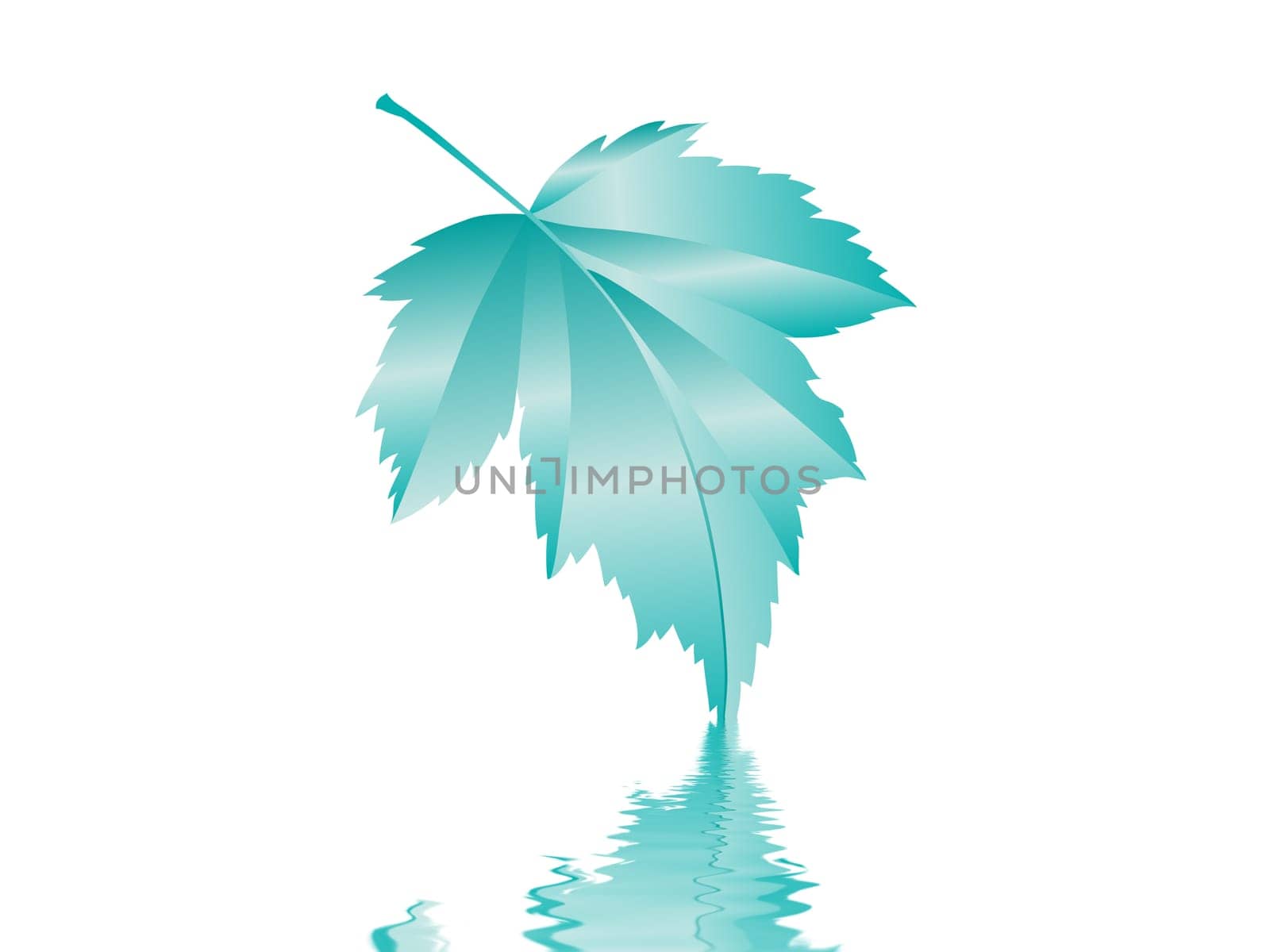 Leaf