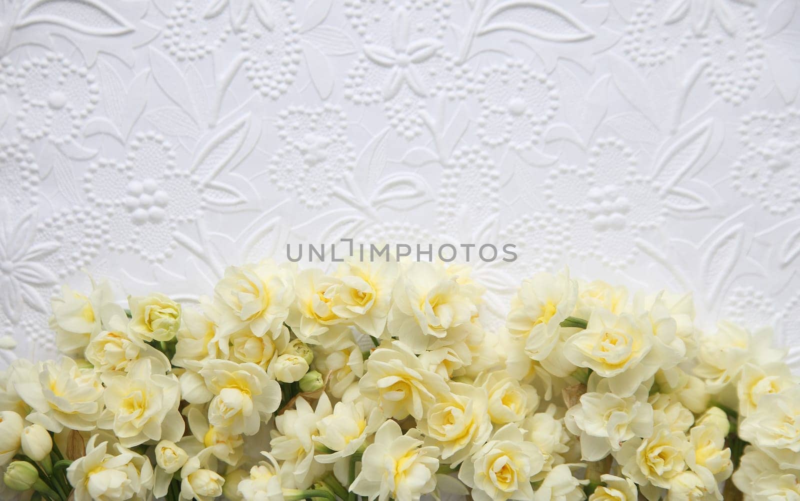 fresh spring narcissus flowers on lower portion of white embossed art paper background