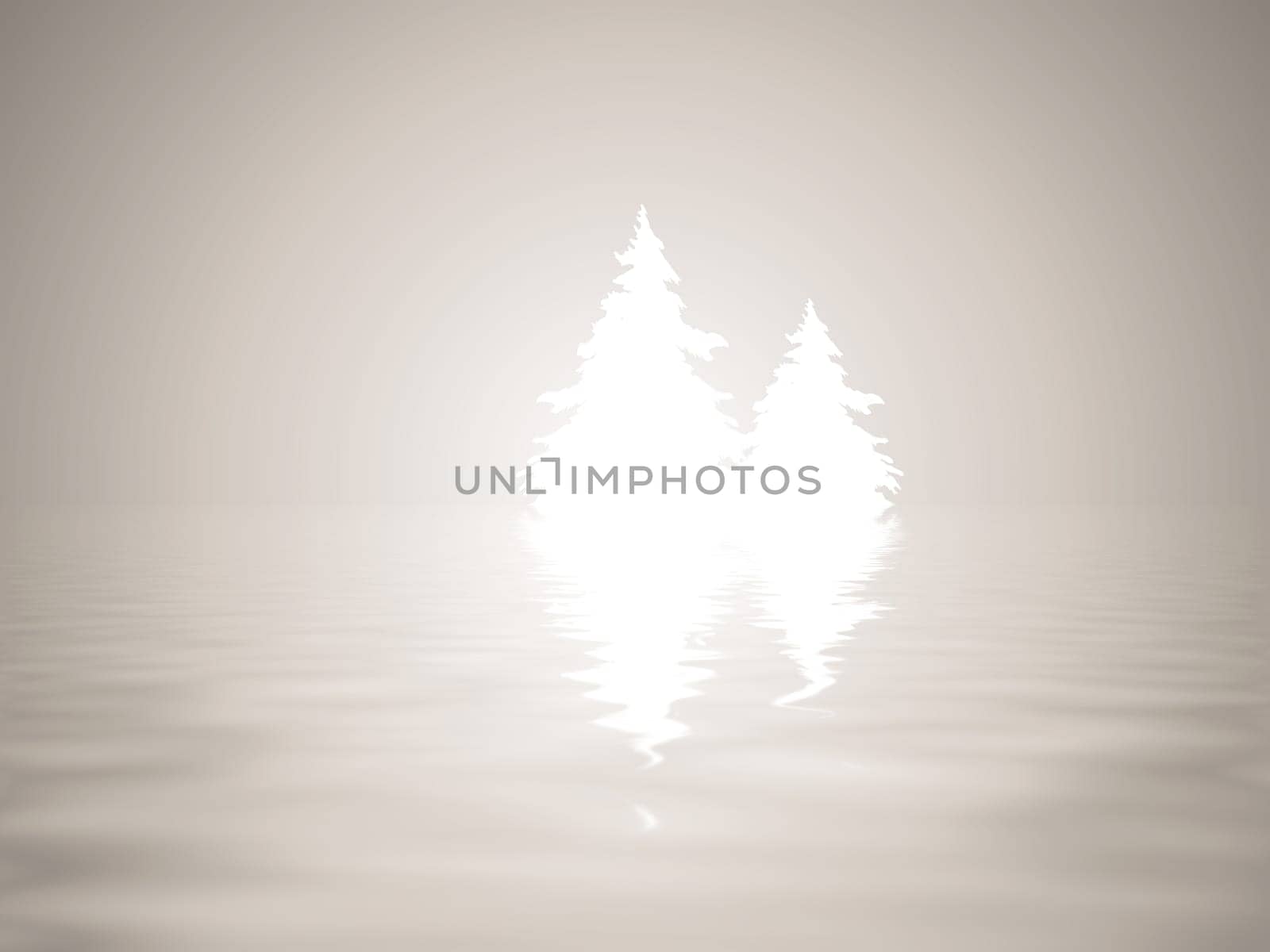 Fir tree