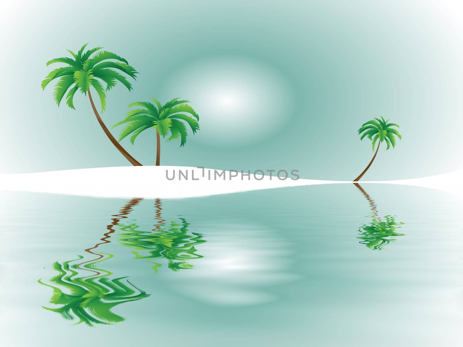Tropical Dreams