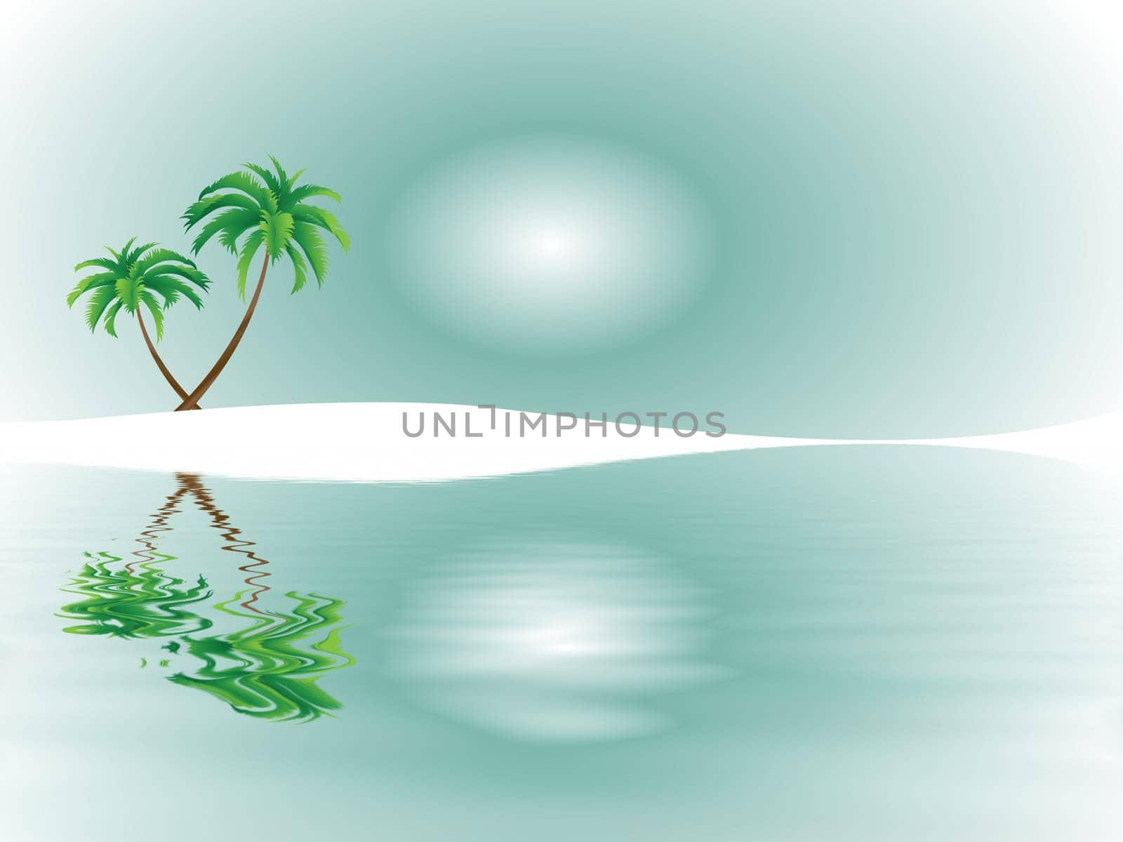 Tropical Dreams