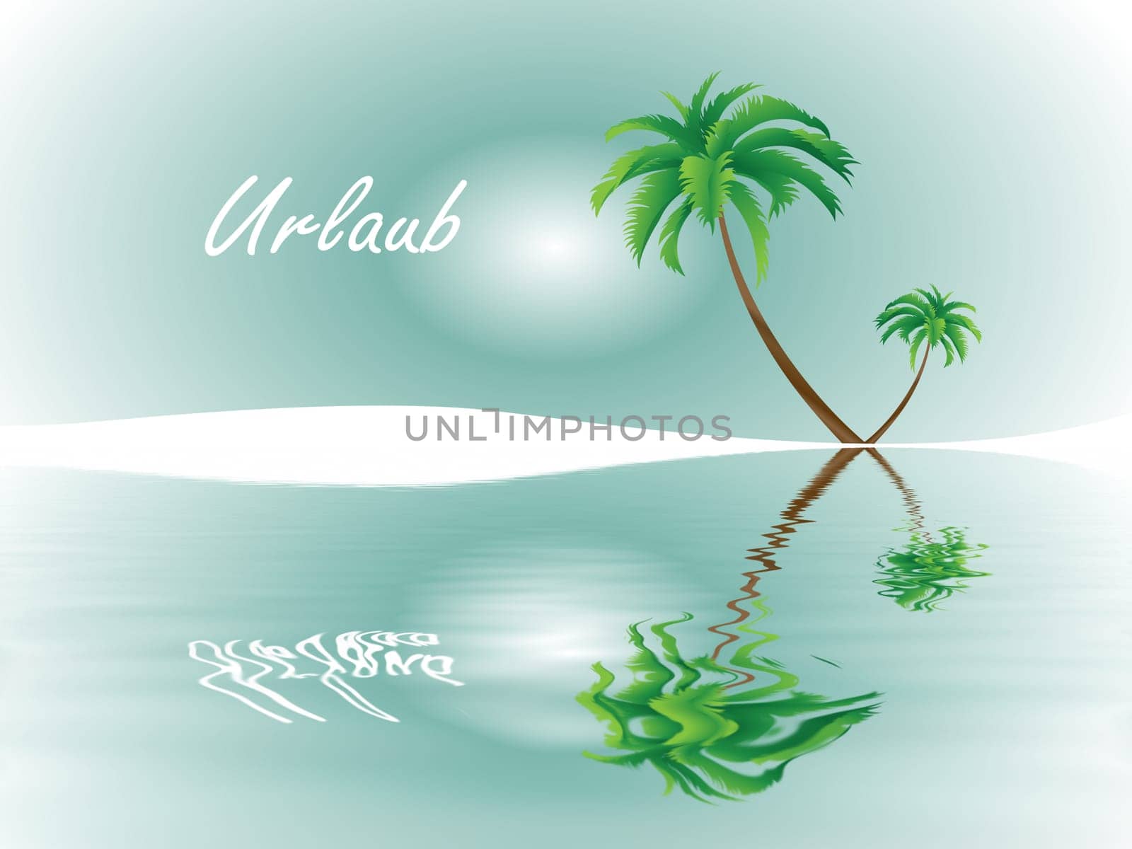 Tropical Dreams