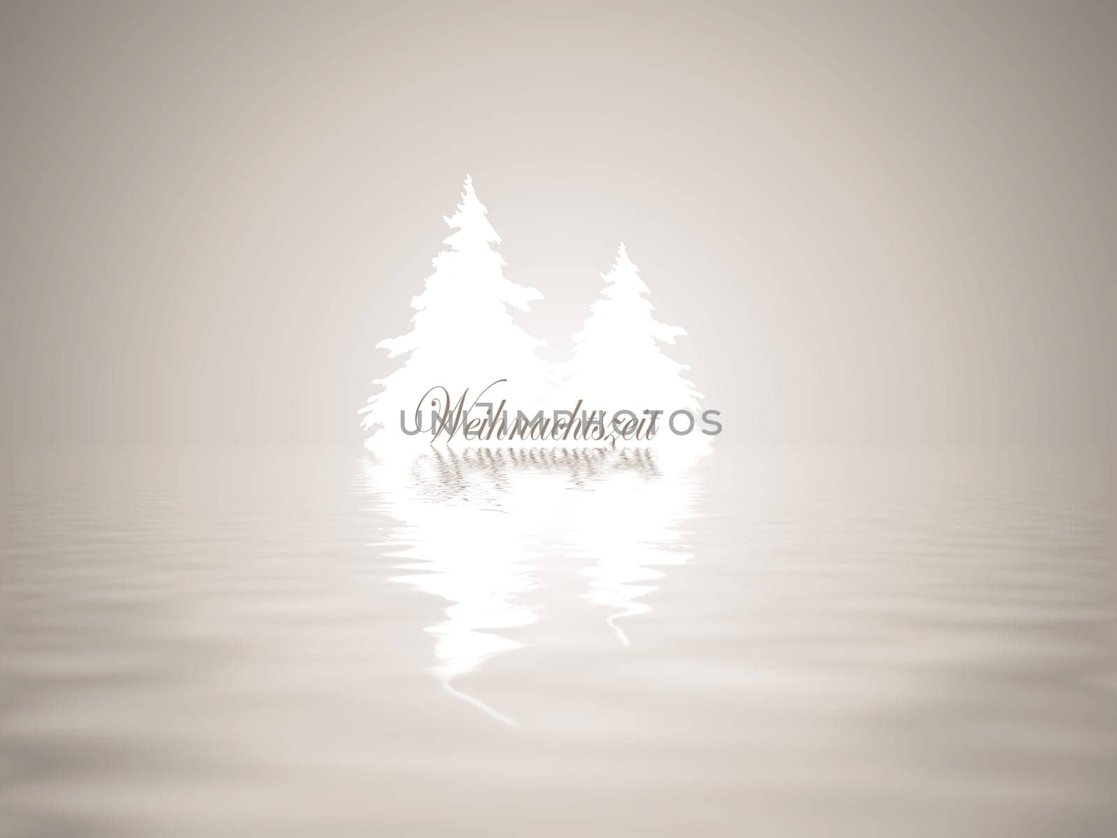 Fir tree