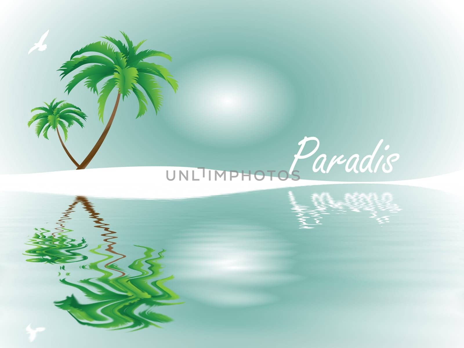 Tropical Dreams
