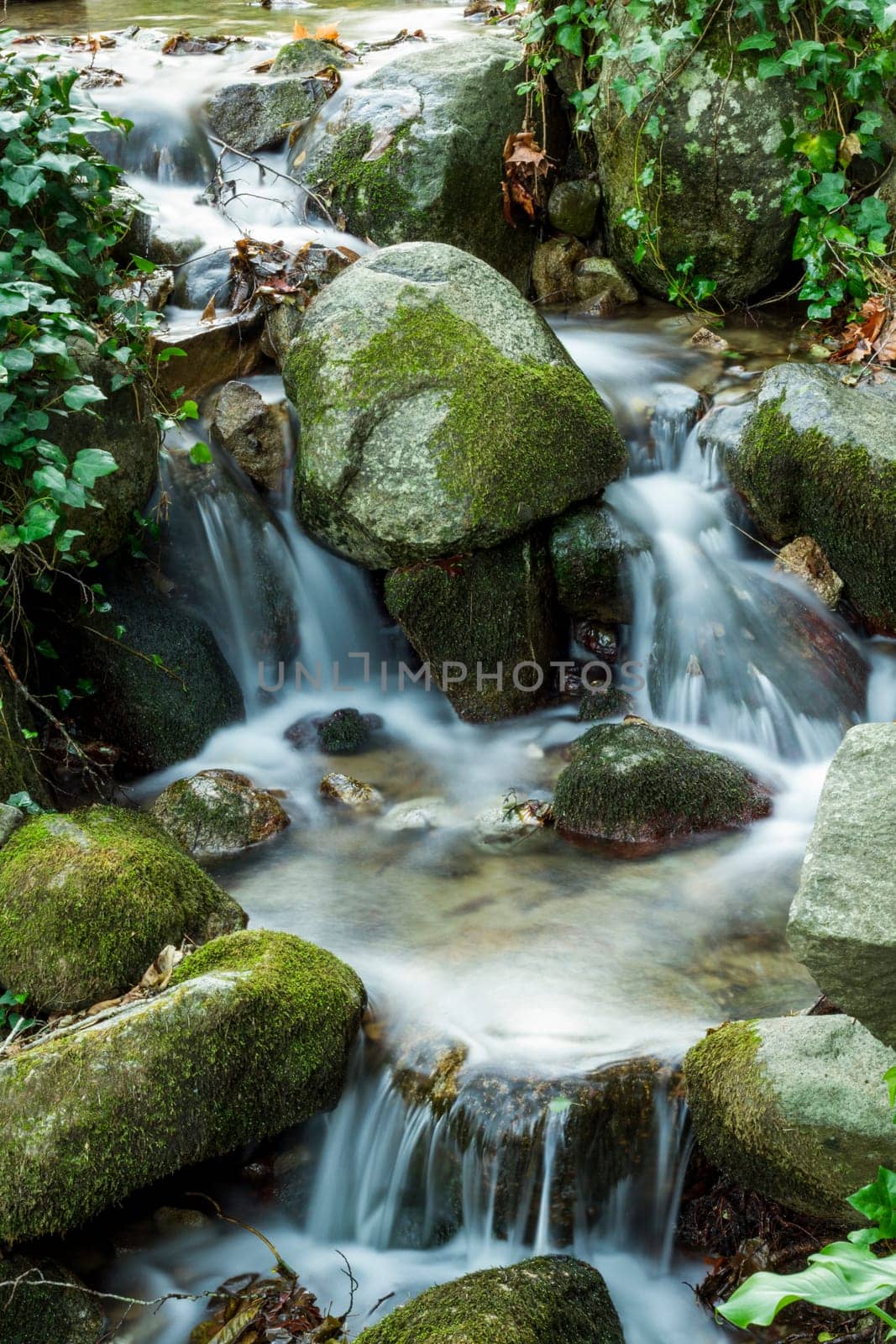 Beautiful view of a fresh flowing creek in a healthy forest.