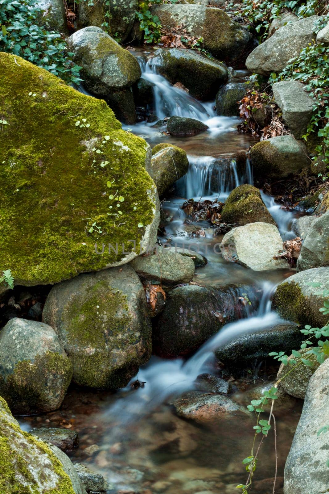 Beautiful view of a fresh flowing creek in a healthy forest.