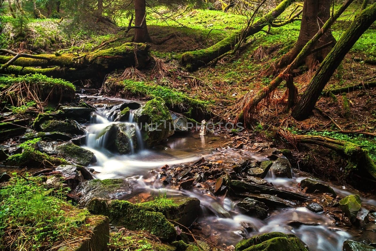 Stream