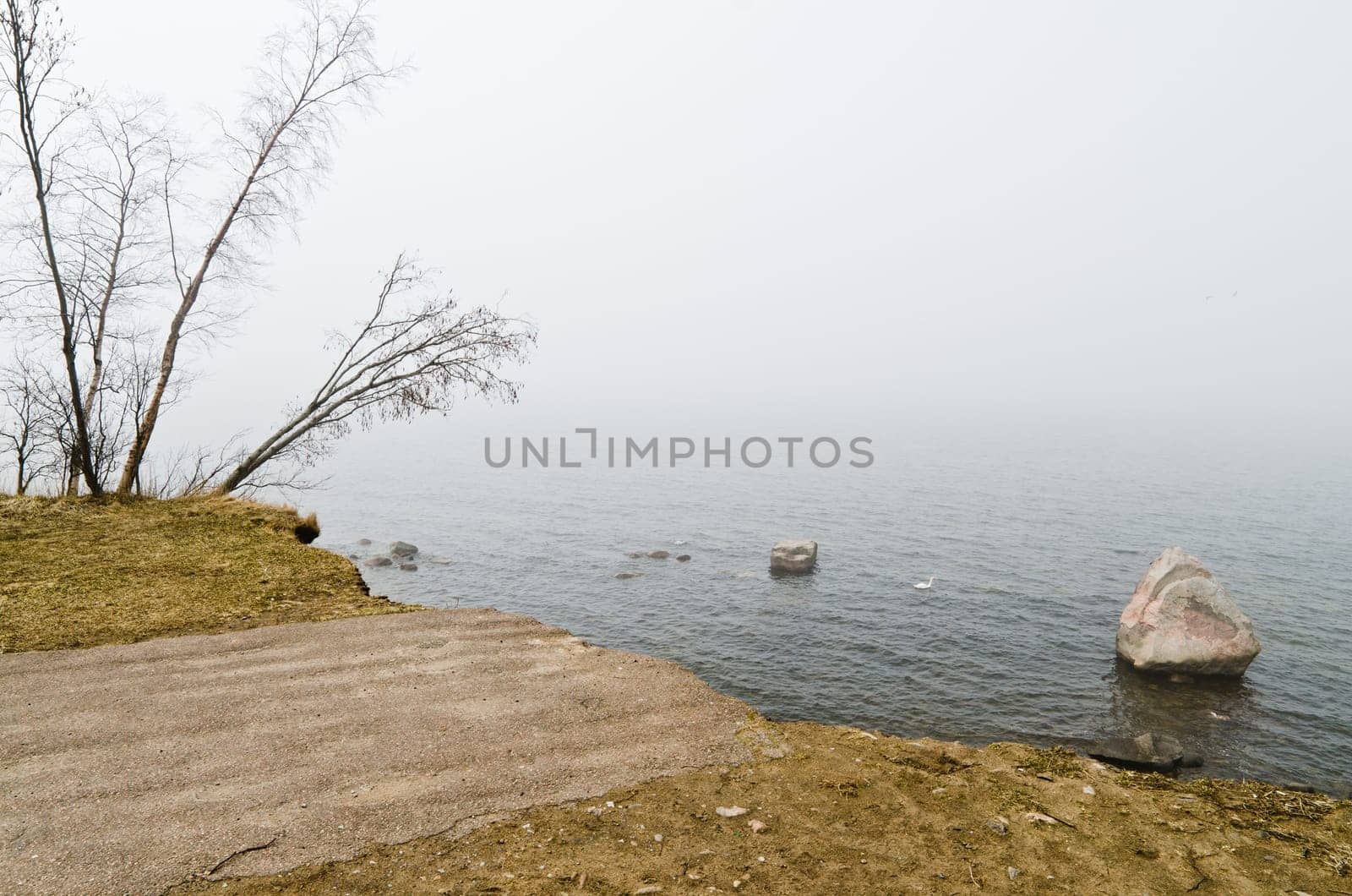 Road leading to the sea