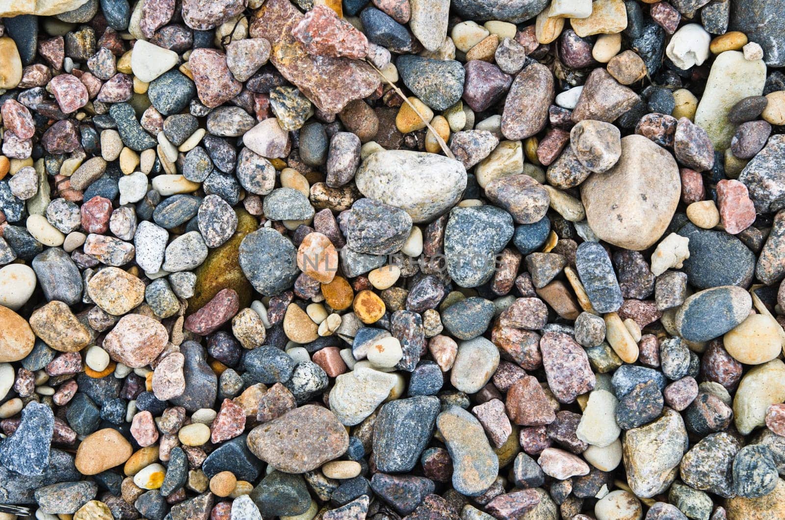 Multi-coloured sea stones, close-up