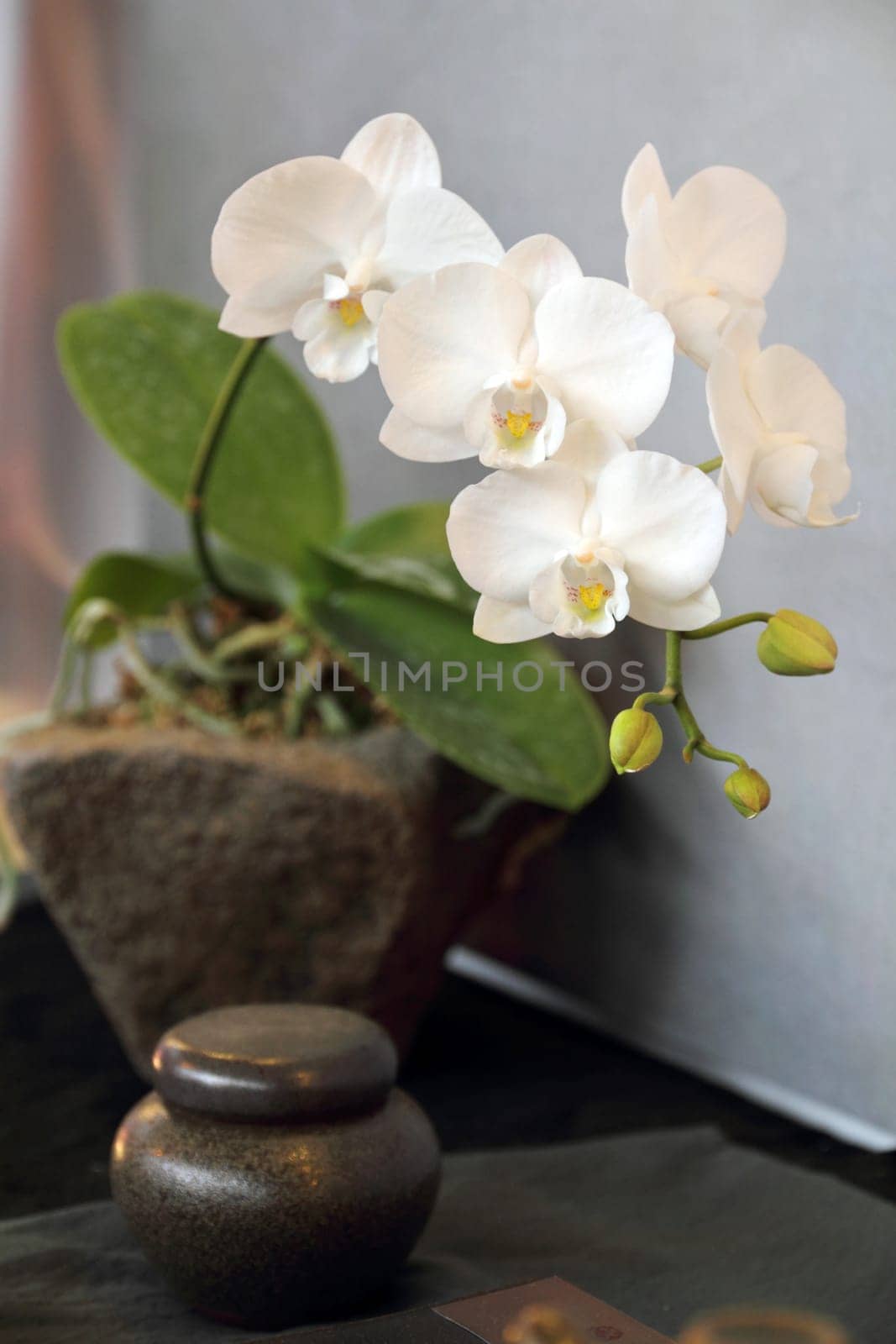 Spa still life