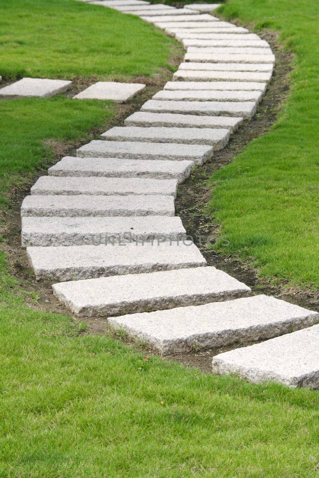 Curved garden walkway