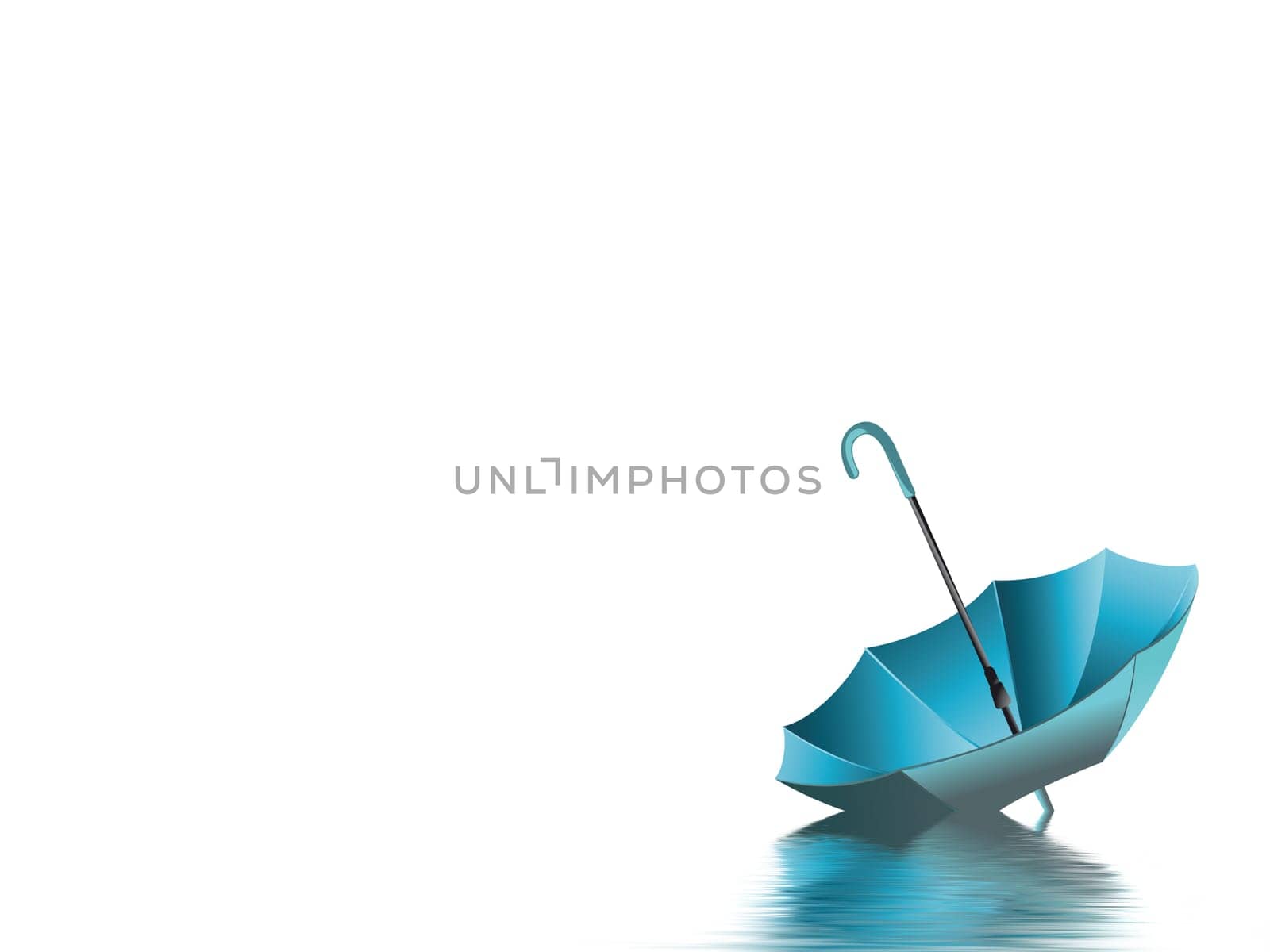 Umbrella