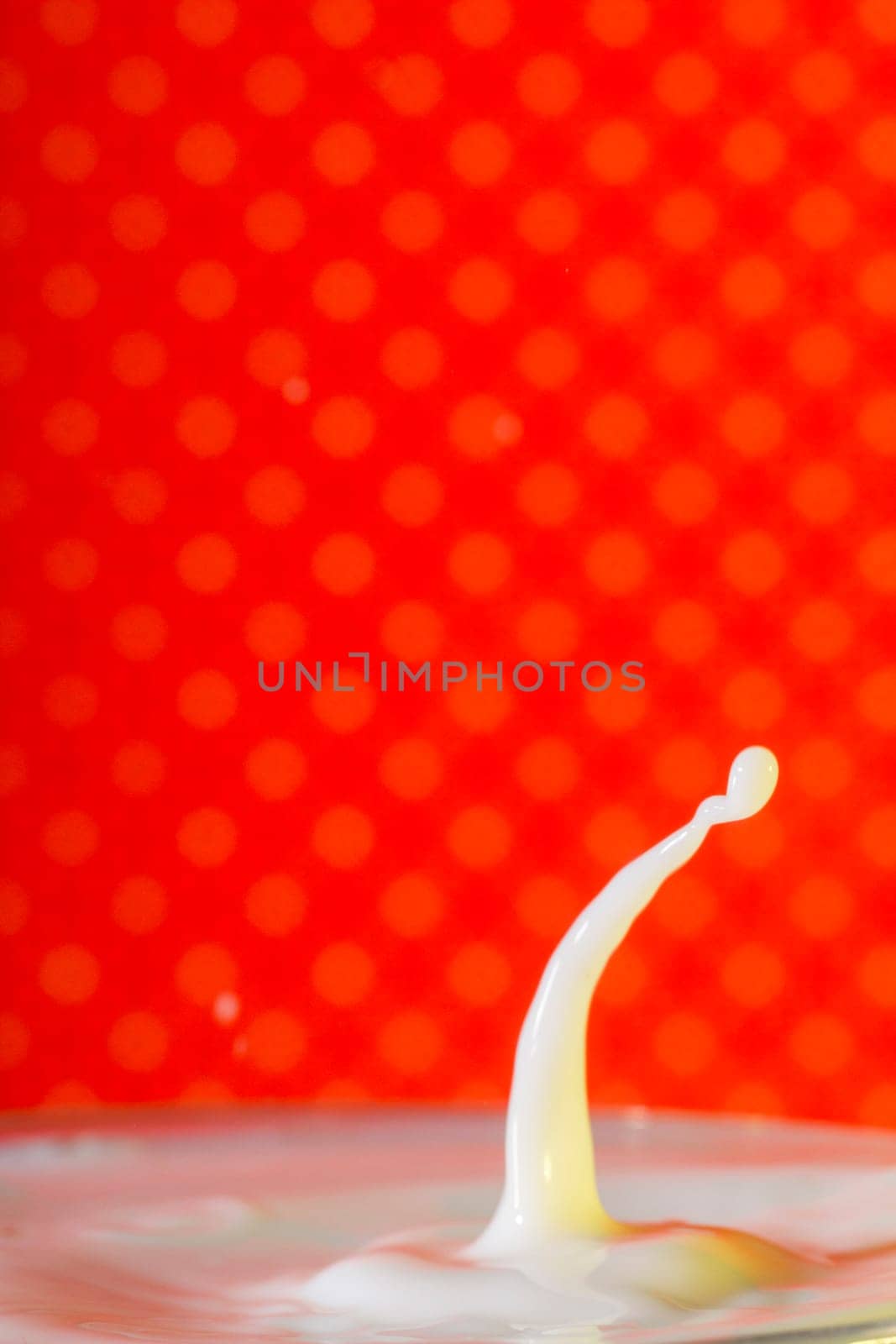 Beautiful close up view of a drop of milk.