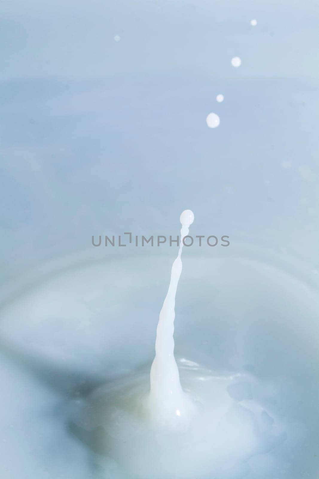 Close view of a droplet of milk hitting a surface of milk.